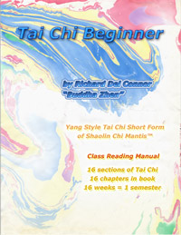 Book Cover TAI CHI BEGINNER by Buddha Z